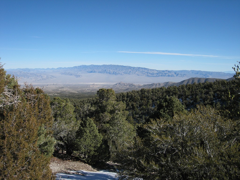 Las Vegas 2010 - Mt Charleston 0381.JPG - The 2010 Las Vegas Fire - Ice and Sweat Tour. Half Marathon, Red Rock Canyon, Casinos, Valley of Fire.... and buffets!